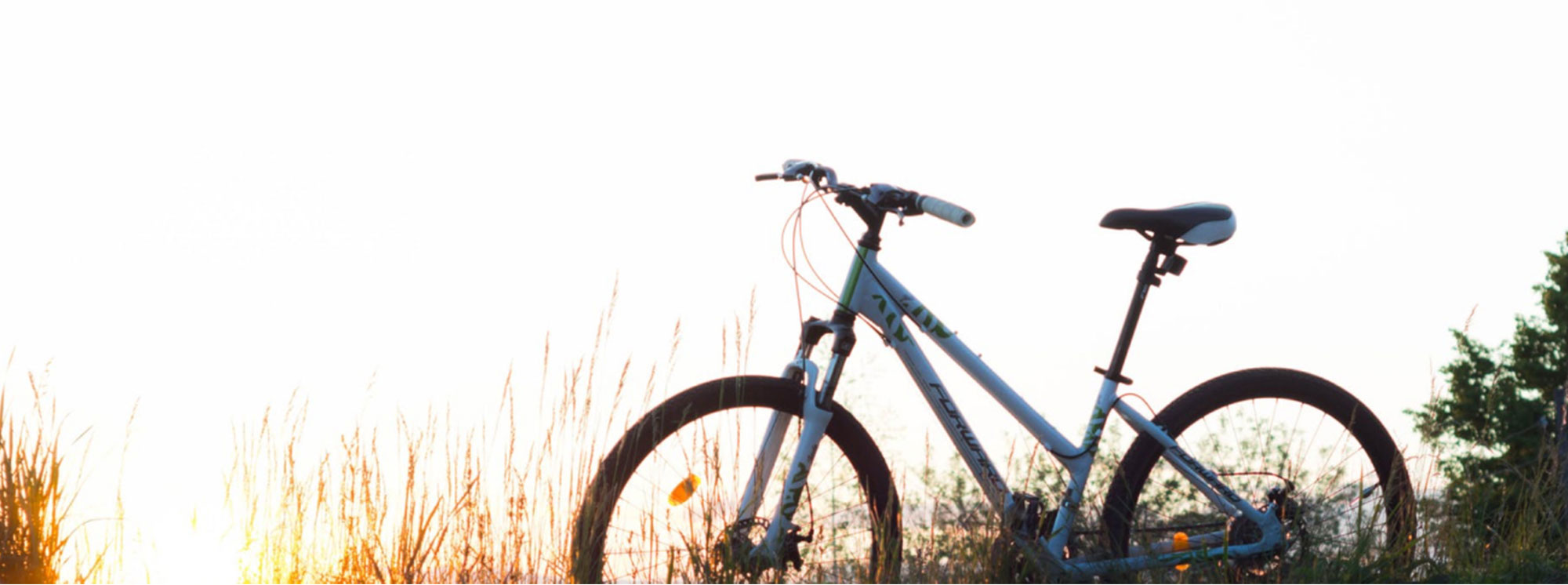 Aerial view of farmland