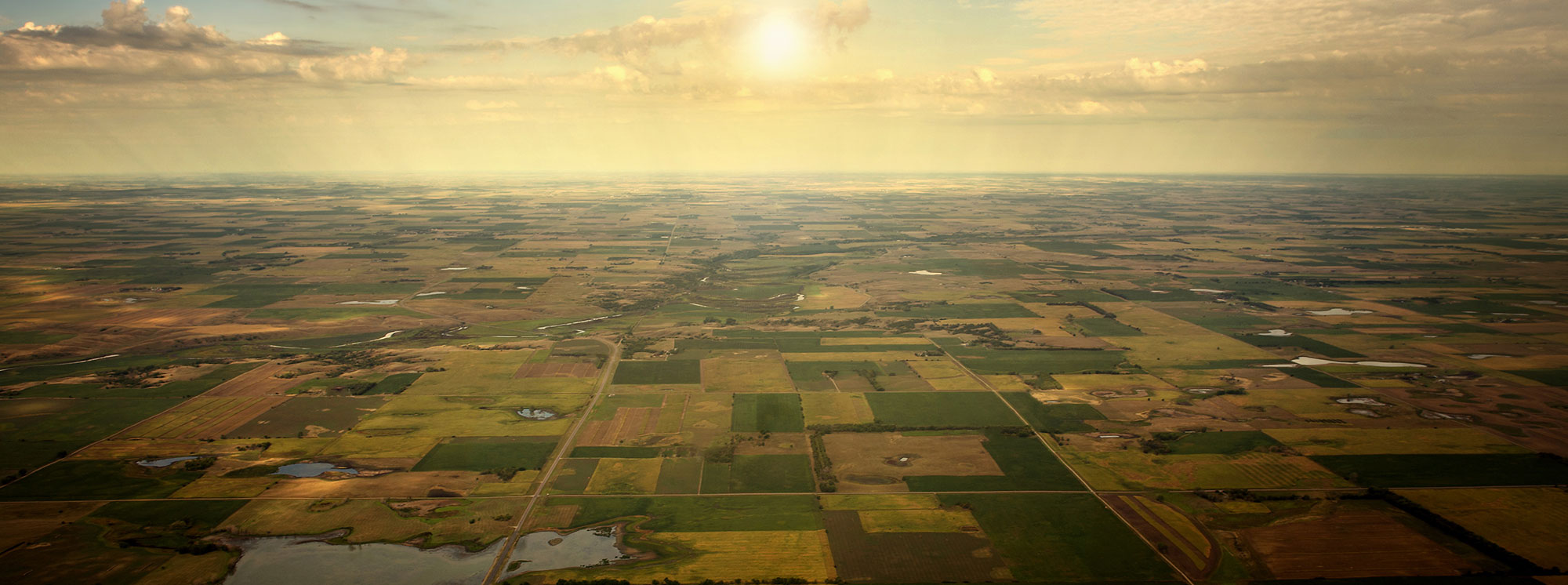 Aerial view of farmland